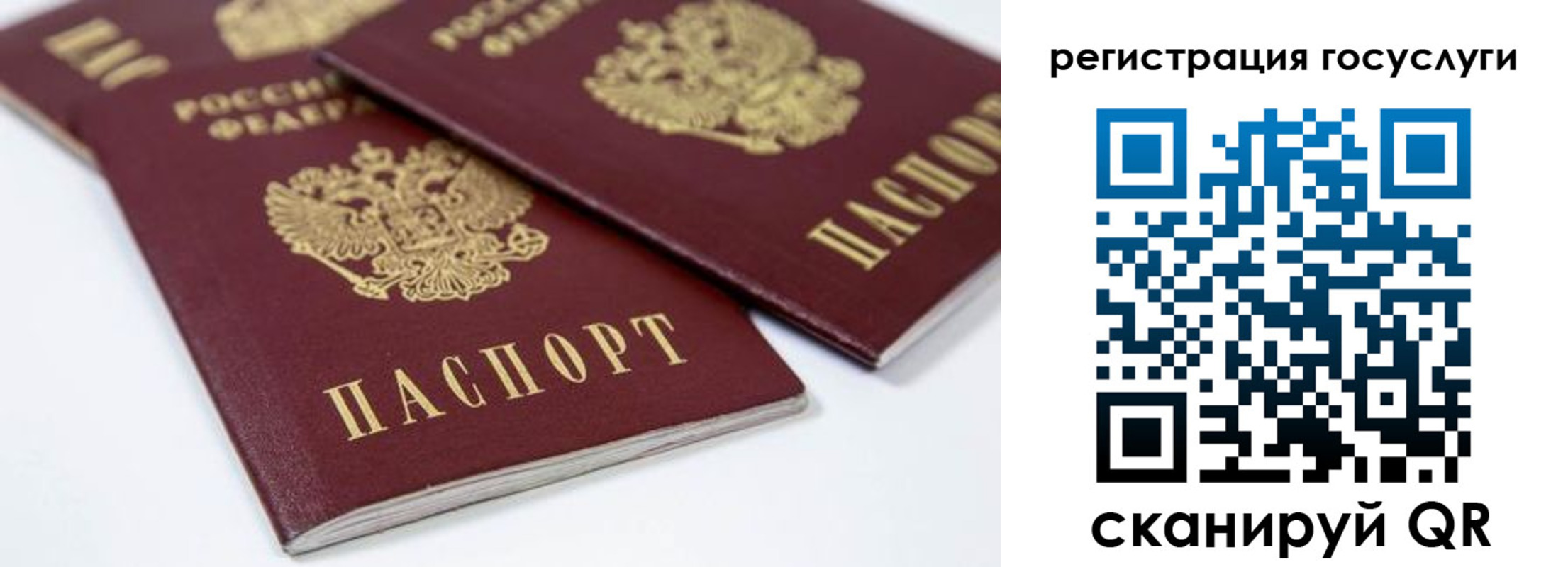прописка гарантия в Иркутске
